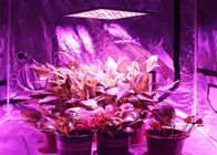 軽量のエネルギー効率が良いライトを導きました開花を3年の育てますライトを保証育てます
